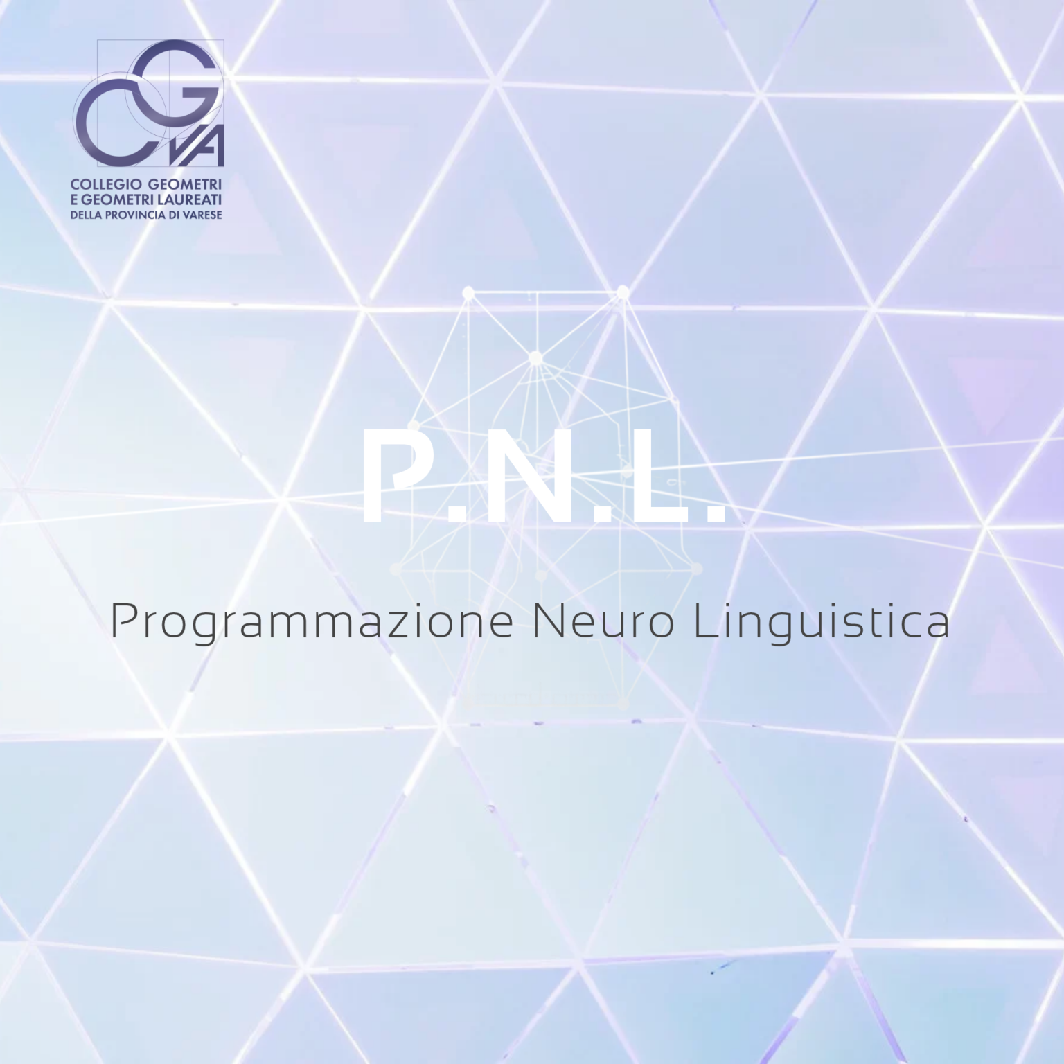 P.N.L. Programmazione Neuro-Linguistica, un approccio innovativo e strategico per comunicare efficacemente